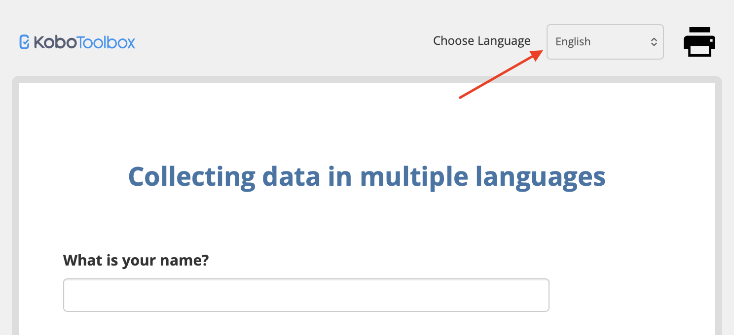 Change form language
