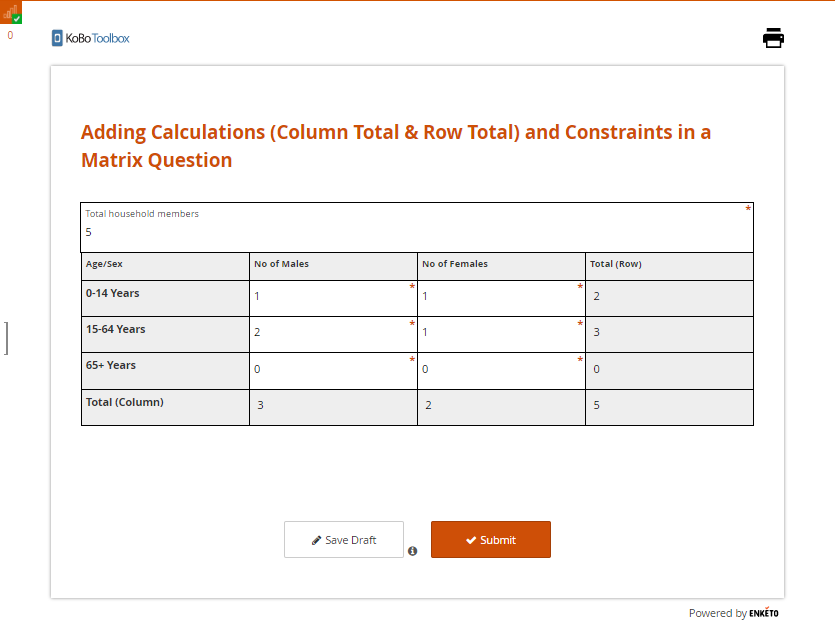 Enketo Correct Inputs Entered