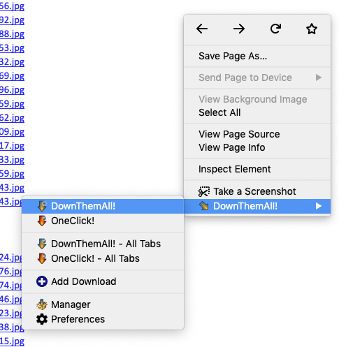 Extension DownThemAll